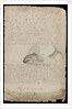 Plate from Edward Barlow's journal of his life at sea in king's ships, East & West Indiamen & other merchantmen from 1659 to 1703. by Edward Barlow