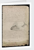 Plate from Edward Barlow's journal of his life at sea in king's ships, East & West Indiamen & other merchantmen from 1659 to 1703. by Edward Barlow