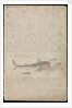 Plate from Edward Barlow's journal of his life at sea in king's ships, East & West Indiamen & other merchantmen from 1659 to 1703. by Edward Barlow