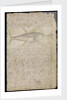 Plate from Edward Barlow's journal of his life at sea in king's ships, East & West Indiamen & other merchantmen from 1659 to 1703. by Edward Barlow