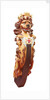 Lion figurehead by Unknown
