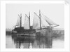 'Moliette' (1919) at Faversham by unknown