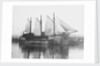 'Moliette' (1919) at Faversham by unknown