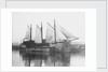'Moliette' (1919) at Faversham by unknown