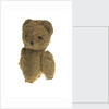 'Humphrey' teddy bear mascot by unknown