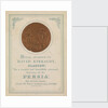 Medal awarded to David Kirkaldy, Glasgow.  For a correct and beautifully executed drawing of the Persia by unknown