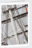 Refurbished clipper 'Cutty Sark' (1869), re-opened 25 April 2012 by Royal Museums Greenwich Photo Studio