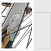 Refurbished clipper 'Cutty Sark' (1869), re-opened 25 April 2012 by Royal Museums Greenwich Photo Studio