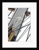 Refurbished clipper 'Cutty Sark' (1869), re-opened 25 April 2012 by Royal Museums Greenwich Photo Studio