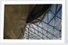 Refurbished clipper 'Cutty Sark' (1869), re-opened 25 April 2012 by National Maritime Museum