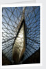 Refurbished clipper 'Cutty Sark' (1869), re-opened 25 April 2012 by National Maritime Museum