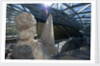 Refurbished clipper 'Cutty Sark' (1869), re-opened 25 April 2012 by National Maritime Museum