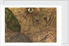 Terrestrial Globe, detail of the presumed location of the magnetic north pole by Gerard Mercator