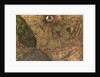Terrestrial Globe, detail of the presumed location of the magnetic north pole by Gerard Mercator