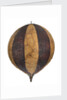 Balloon by George Shepherd