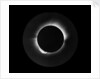 Solar eclipse, 1919 by Unknown