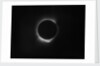 Solar eclipse, 1919 by Unknown