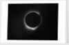 Solar eclipse, 1919 by Unknown