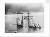 Photograph of Mildred (1889) wrecked off Gurnard’s Head, Cornwall, 1912 from the Gibson collection by Gibson's of Scilly Shipwreck Collection