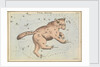 Ursa Major by Sidney Hall