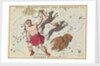 Bootes Canes Venatici, Coma Berenices and Quadrans Muralis by Sidney Hall