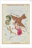 Delphinus, Sagitta, Aquila and Antinous by Sidney Hall