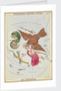 Delphinus, Sagitta, Aquila and Antinous by Sidney Hall