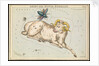 Aries and Musca borealis by Sidney Hall