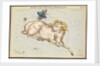 Aries and Musca borealis by Sidney Hall