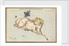 Aries and Musca borealis by Sidney Hall