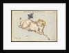 Aries and Musca borealis by Sidney Hall