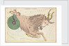 Capricornus by Sidney Hall