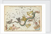 Nocyua, Corvus, Crater, Sextans Uraniae, Hydra, Felis, Lupus, Centaurus, Antlia Pneumatica, Argo Navis and Pyxis Nautica by Unknown