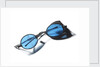 Snow goggles with blue lenses: Relic of Sir John Franklins last expedition 1845-1848 by Unknown