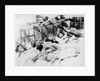 Photographic print of the crew of 'Vivid' (1891) in hammocks by unknown
