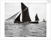 The spritsail barge 'Majestic' (1894) by F. C. Gould & Son