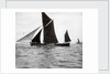 The spritsail barge 'Majestic' (1894) by F. C. Gould & Son