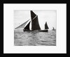 The spritsail barge 'Majestic' (1894) by F. C. Gould & Son