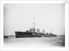 Destroyer HMS 'Truculent' (1917) by unknown