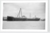 'Oleander' (Br, 1922) by unknown
