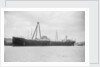 'Oleander' (Br, 1922) by unknown