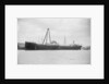 'Oleander' (Br, 1922) by unknown