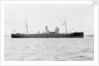 'Prestol' (Br, 1917) by unknown