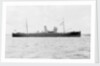 'Prestol' (Br, 1917) by unknown