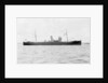 'Prestol' (Br, 1917) by unknown
