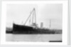 'Appleleaf' (Br, 1916) by unknown