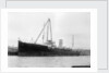 'Appleleaf' (Br, 1916) by unknown
