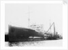 'Plumleaf' (Br, 1916) by Unknown