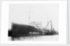 'Plumleaf' (Br, 1916) by Unknown