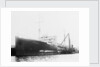 'Plumleaf' (Br, 1916) by Unknown